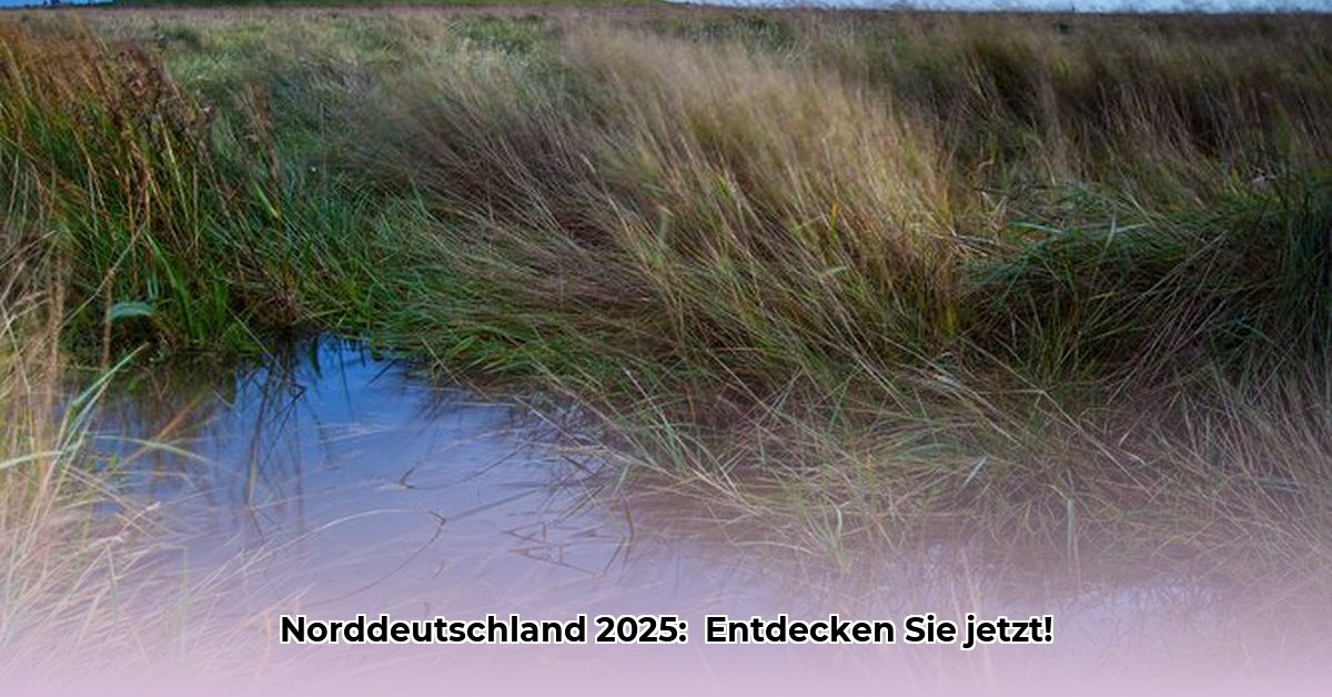 gebiet-in-norddeutschland